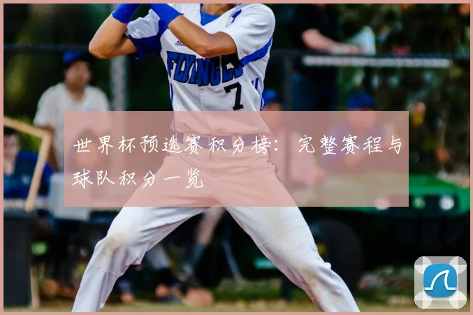 世界杯预选赛积分榜：完整赛程与球队积分一览