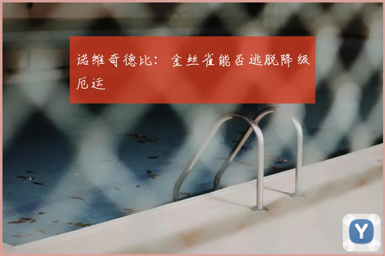 诺维奇德比：金丝雀能否逃脱降级厄运