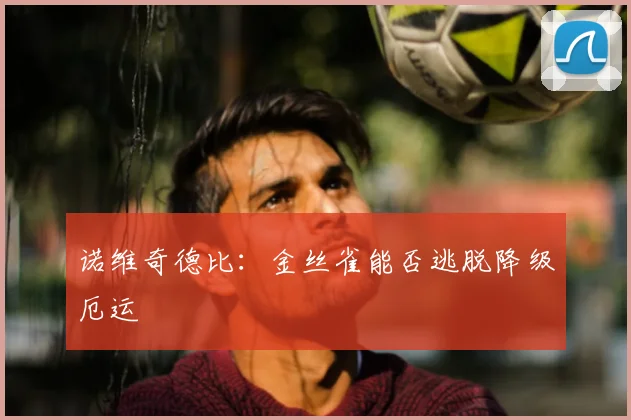 诺维奇德比：金丝雀能否逃脱降级厄运